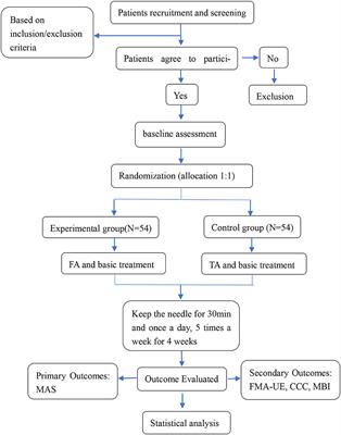 Effects of Functional Acupuncture on Upper Limb Spasticity After Ischemic Stroke: A Protocol for a Randomized Controlled Parallel Clinical Trial